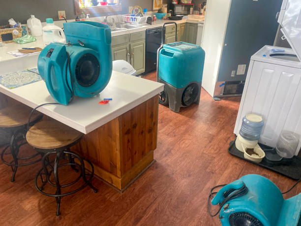 Best Emergency water damage restoration  in Silverton, OR