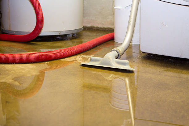  Silverton, OR Water damage restoration Pros
