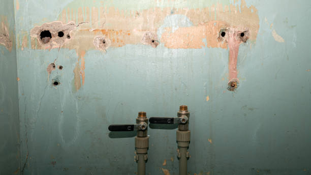 Best Professional water damage repair  in Silverton, OR